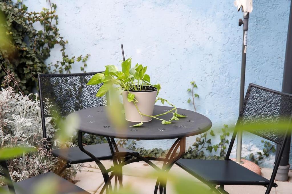 Nusha'S Place Zagrzeb Zewnętrze zdjęcie